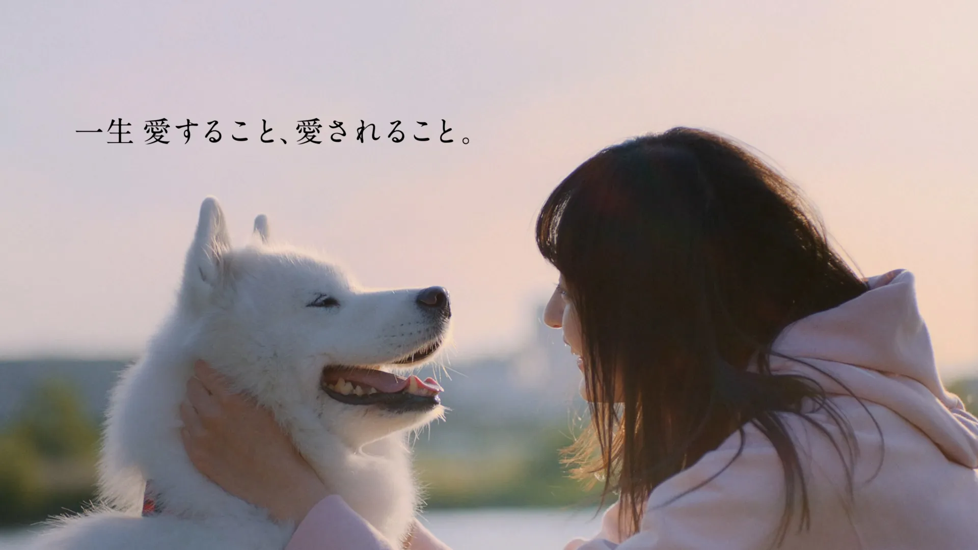 AC・NHK共同キャンペーン 生きものを大切に